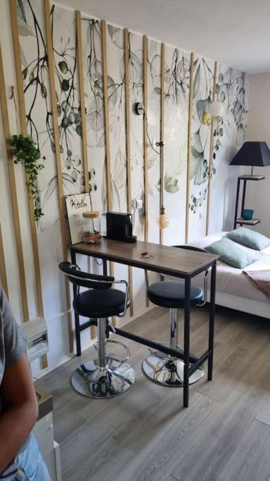 Hsh France Location Disney Land Paris - Suite Nicolas - Appartement De Charme Бюссі-Сен-Жорж Екстер'єр фото